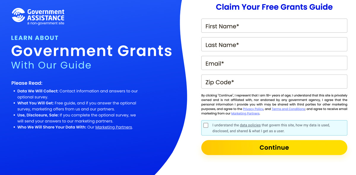 Government Assistance Programs